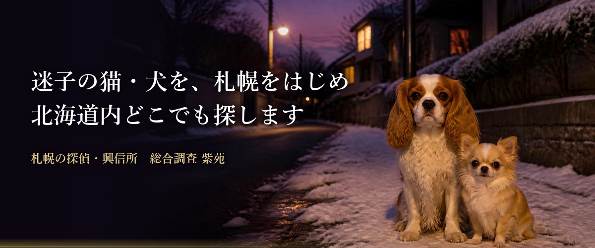 ペット捜索|迷子の猫・犬を、札幌をはじめ北海道内どこでも探します 札幌の探偵・興信所 総合調査 紫苑