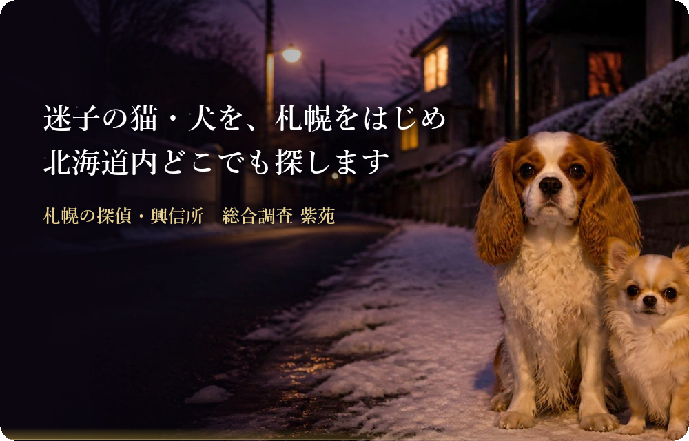 ペット捜索|迷子の猫・犬を、札幌をはじめ北海道内どこでも探します 札幌の探偵・興信所 総合調査 紫苑