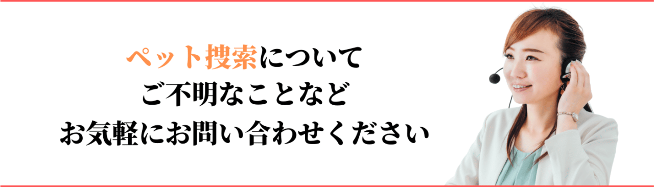 ペット捜索の相談窓口