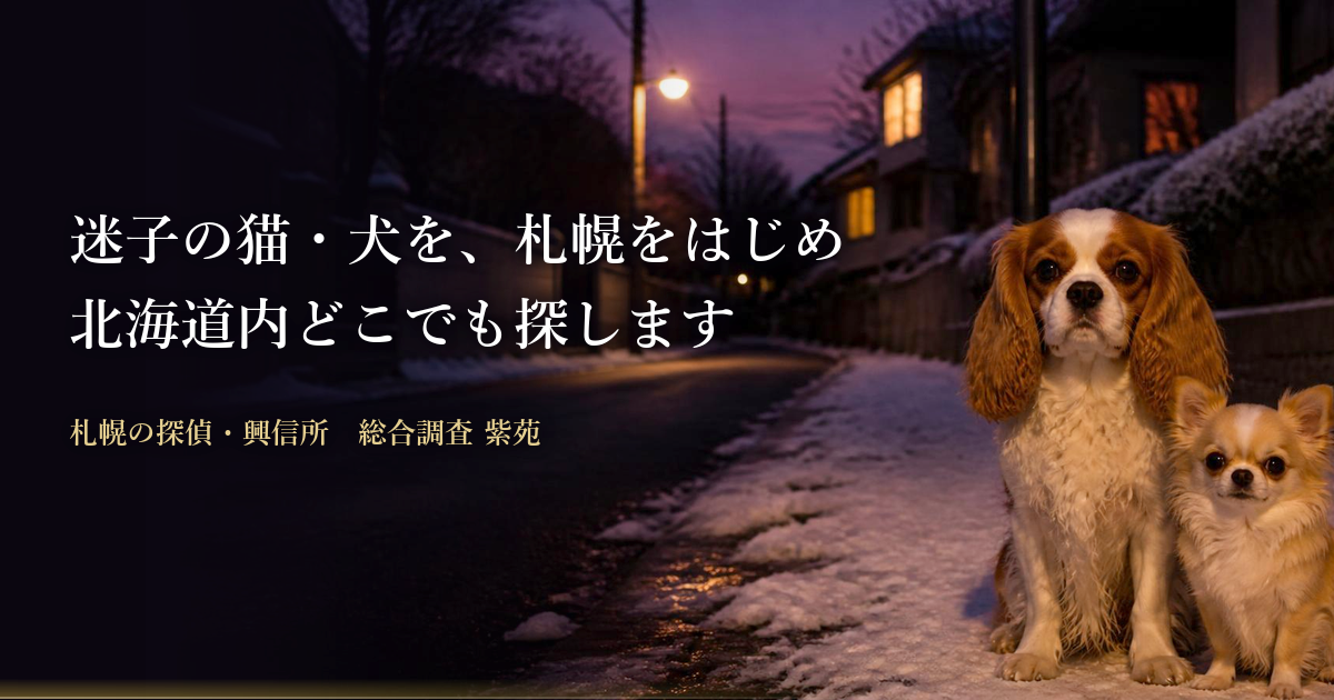 ペット捜索
