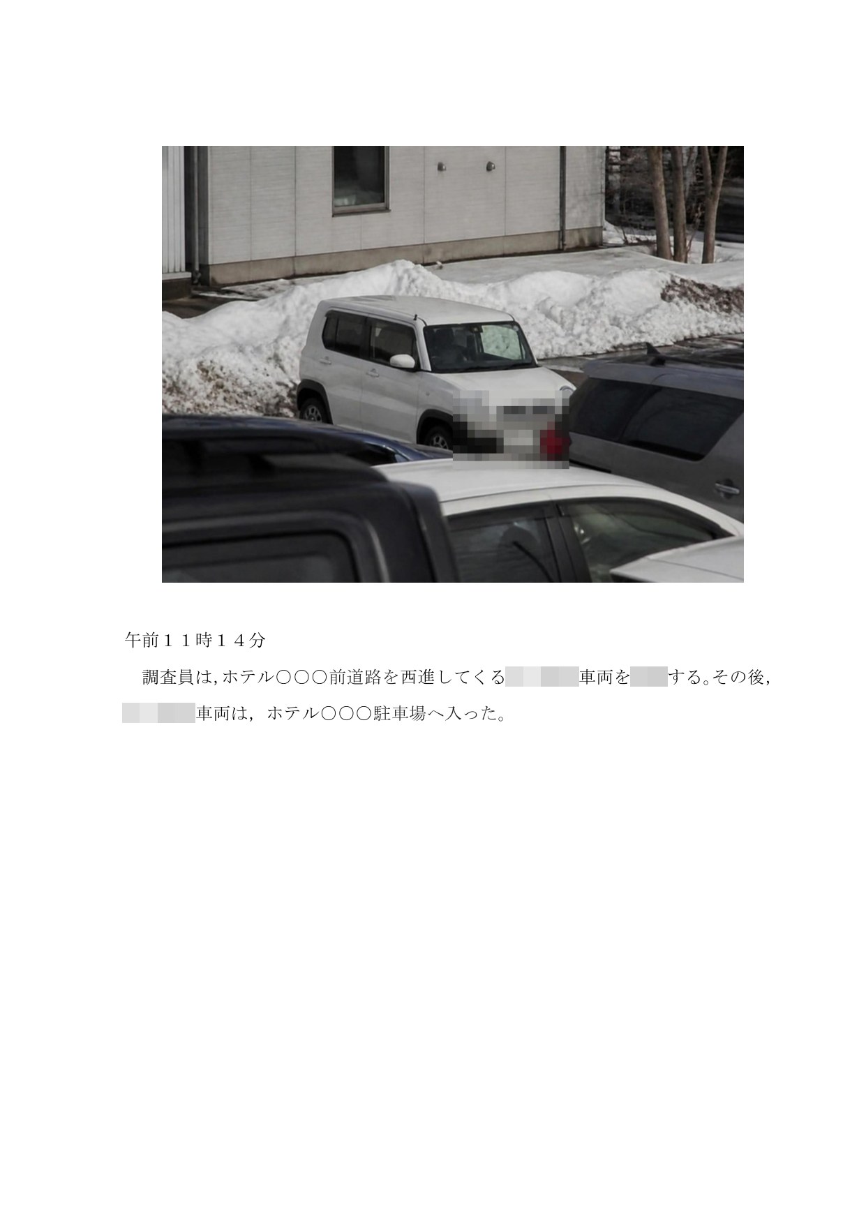調査報告書の見本 9枚目